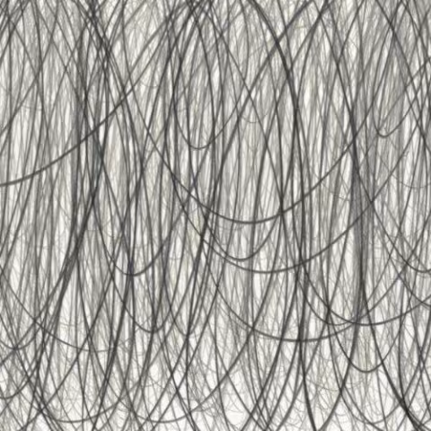 1354029992_cover.jpg