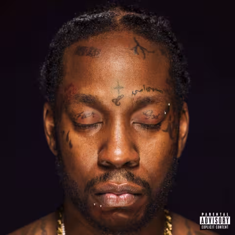 2-chainz-lil-wayne-collegrove.jpg