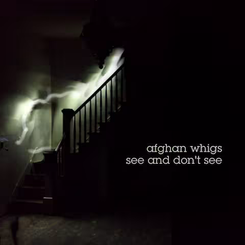 Afghan-Whigs-See-and-Dont-See.jpg
