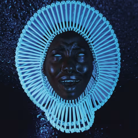 Awaken__My_Love_.jpg