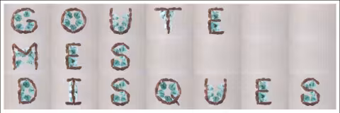 Capture_d_e__cran_2011-07-29_a___10.17.15.png