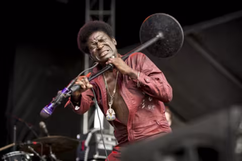 Charles_Bradley_2017.jpg