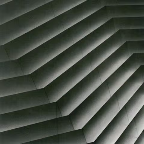 Disappears_-_Era_1375200943_crop_550x550.jpg