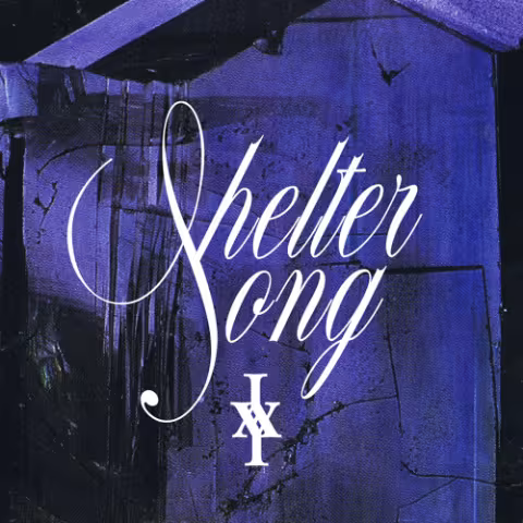 Iceage-Shelter-Song.jpg
