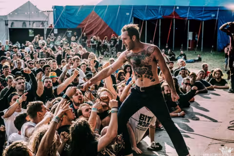 Ieperfest.jpg