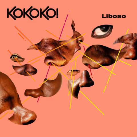 KOKOKO-Art.jpg