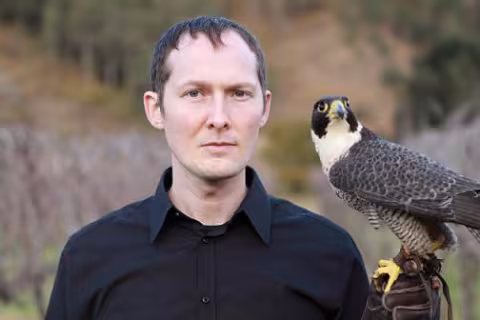 Lawrence-English-Peregrine.jpg