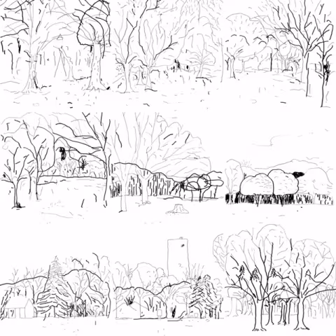 Lawrence-Yoyogi-Park-artwork.jpg