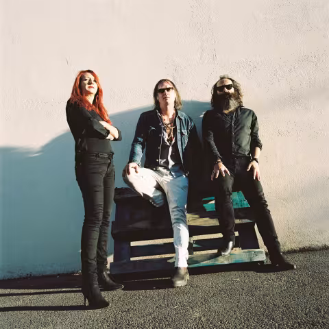 Liminanas-Anton-Newcombe-mai-2017-7-retouche.jpg