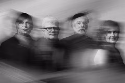 New-Pornographers-LP_jpg.jpg