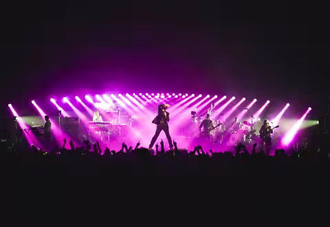 Pulp_Live_credit_Lauren_Krohn.jpeg