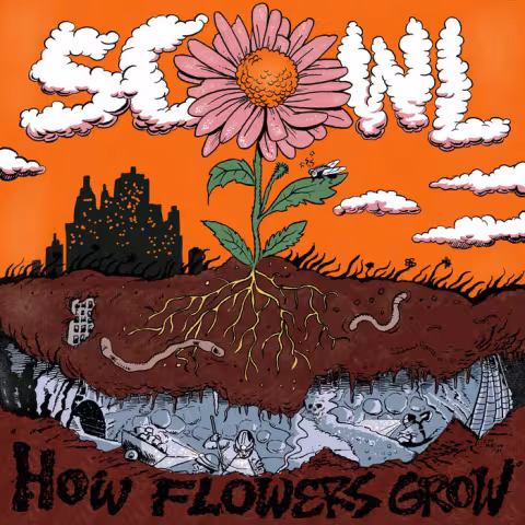Scowl_how_flowers.jpg