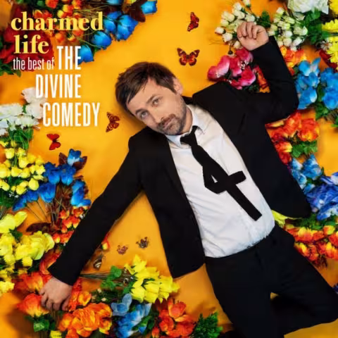 The-Divine-Comedy-Charmed-Life-artwork.jpg