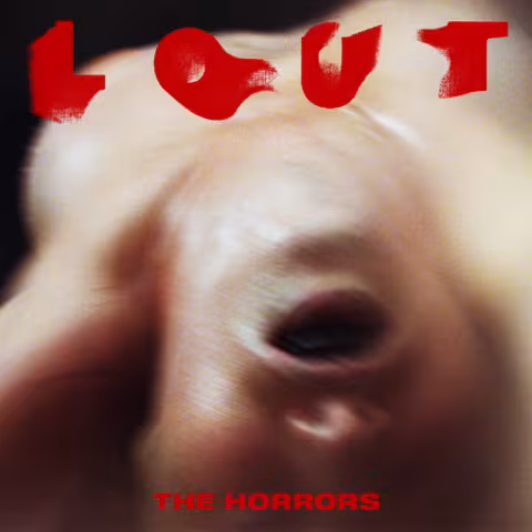 The-Horrors-Lout-1614087847.jpg