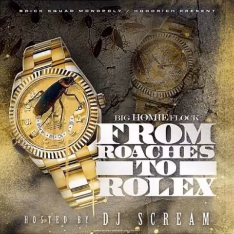 Waka-Flocka-Flame-From-Roaches-To-Rolex.jpg