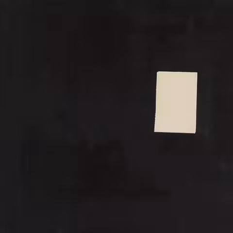 _000000844_01.jpg