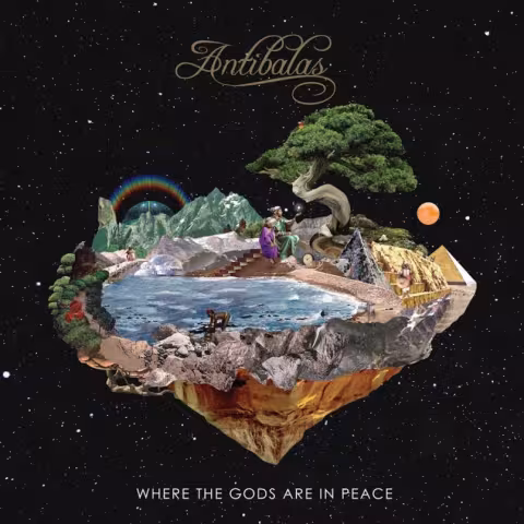antibalas-wtgaip-cover.jpeg
