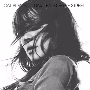 cat_power_dark_end.gif