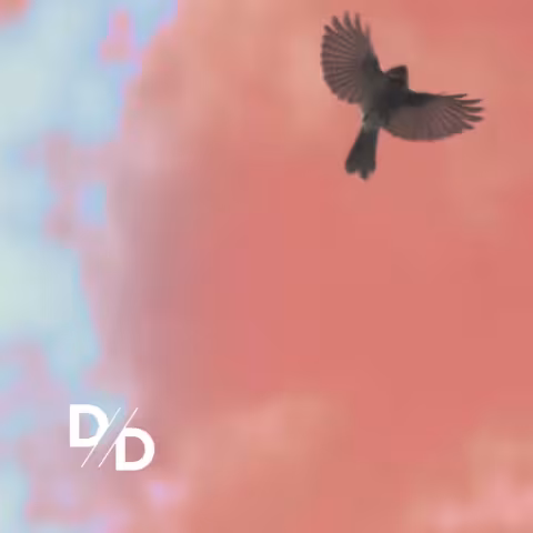divide_and_dissolve_remix.jpg