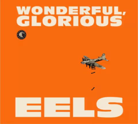 eels_album_102212.png