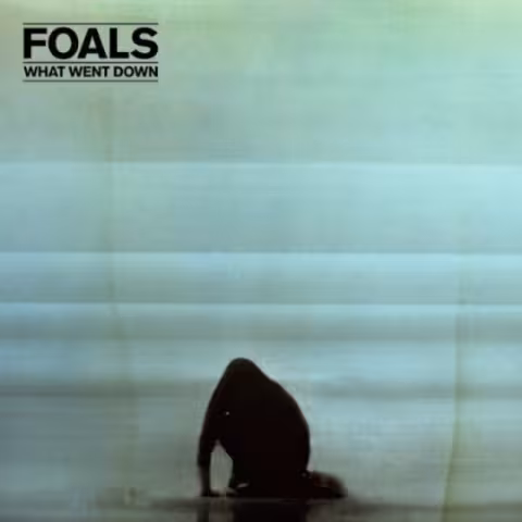foals-whatwentdown-560x560-560x560.jpg
