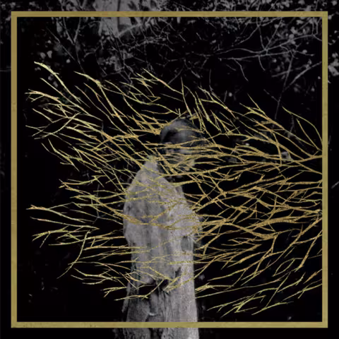 forest-swords-7.18.2013.jpg