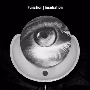 function_incubation.jpg