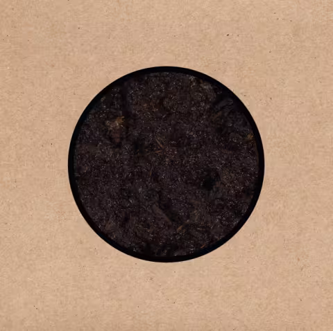 image003_01.png