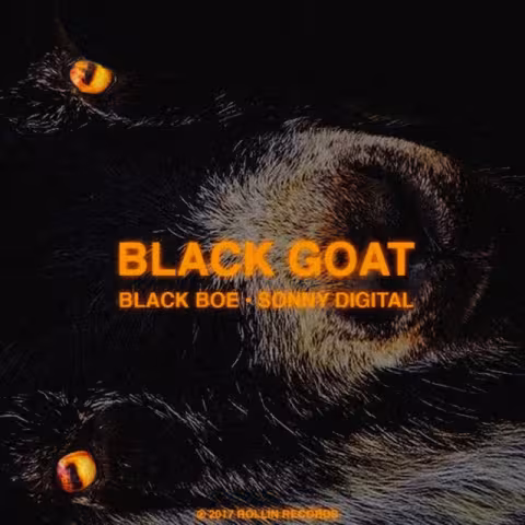 listen-sonny-digital-black-goat.jpg