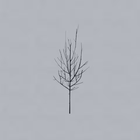 low-onessixes-900_1435238760.jpg