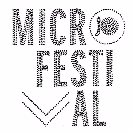 micro_festival_2012_08_04.jpg