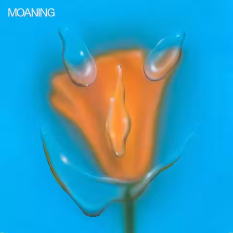moaning-uneasy-laughter-music-review-punk-rock-theory.jpg
