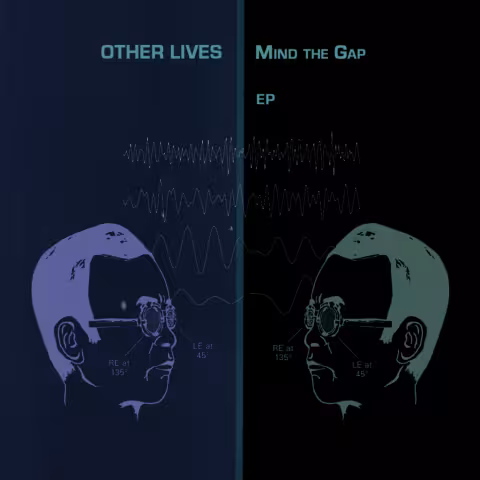 otherlives_MindGapcover.jpg