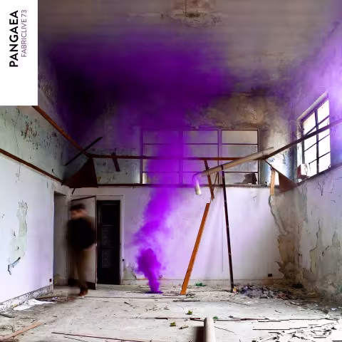 pangaea-fabric-mix-11.2013.jpg