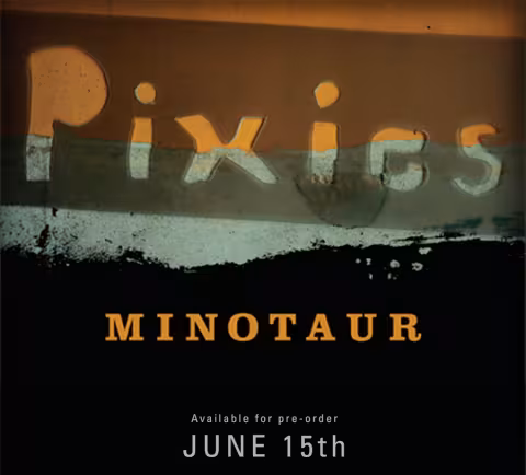 pixiecomingsoon.jpg