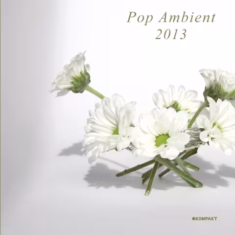pop_ambient_2013.jpg