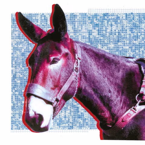 protomartyr-Ultimate-Success-Today.jpg