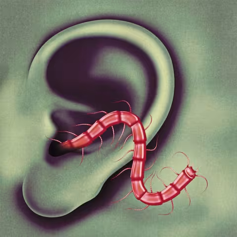 theeohsees-cover_01.jpg