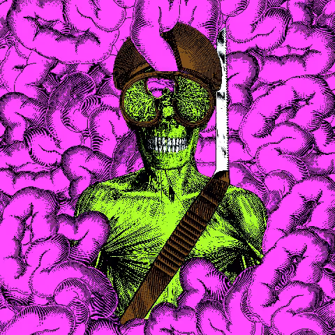 theeohsees.jpg