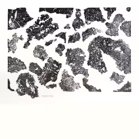 tumblr_inline_n760cnoHtX1qav3ir.jpg