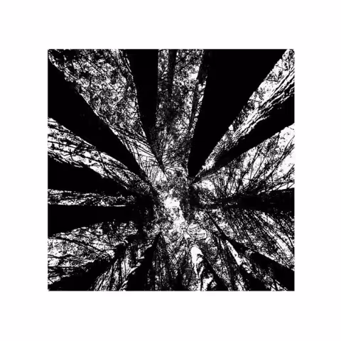 untitled_01.png