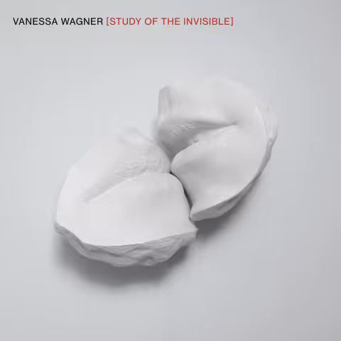 vanessa_wagner_study_of_tine_invisible.jpg