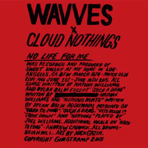 wavves_cloud_Nothings__1_.jpg