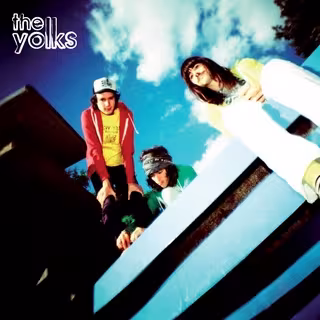 yolks.jpg