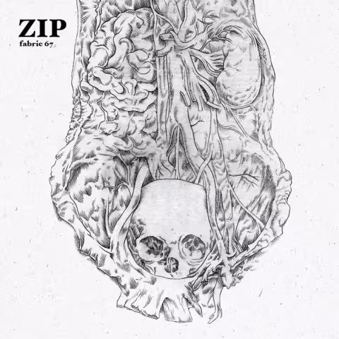 1354570191_cover.jpg