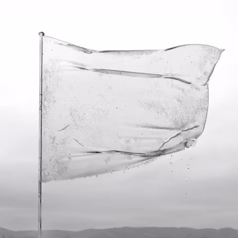 Dool_000_album_cover_Shape_of_Fluidity.jpg