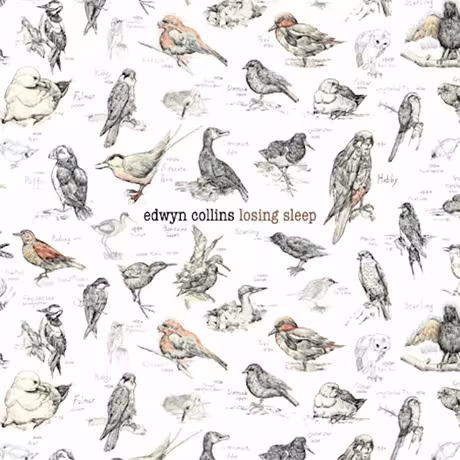 Edwyn_Collins_Losing_Sleep_Album_Art.jpg