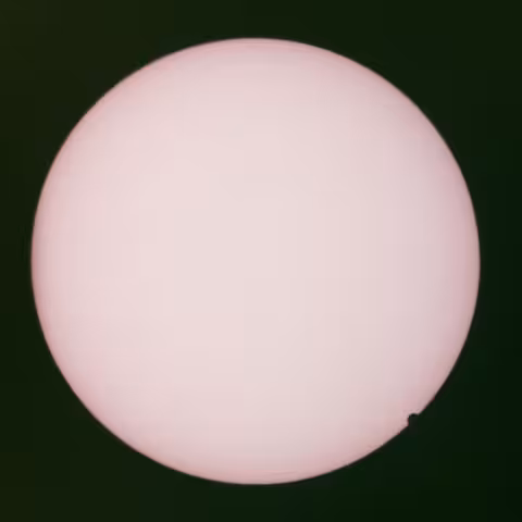 JohnMaus_RaritiesCVR.jpeg