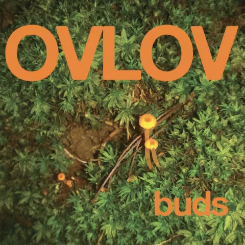Ovlov-Buds.jpeg