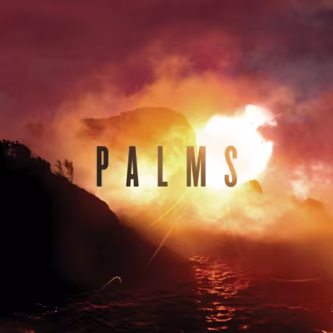 PalmsCover-e1369941094427.jpg